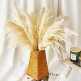 Dried pampas grass decor plants natural wedding flowers bunch natural dried flow