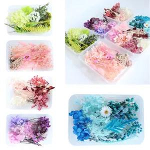 1 Box Dried Flowers DIY Specimen Real Plant Craft Candle Pendant Jewelry Making