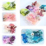 1 Box Real Dried Flowers for Art Craft Epoxy Resin Candle Wedding Gift Decor DIY