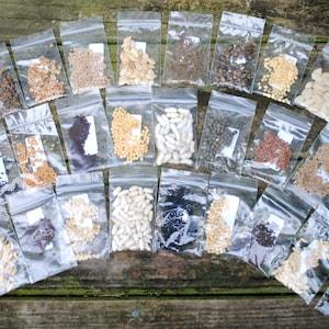 Emergency Survival Vegetable  Non-Gmo, Heirloom Seed Pack-100% Heirloom Seed Kit, Garden gift, New in the US, heirloom seeds
