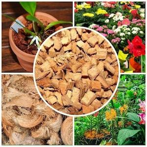 Coconut Husk Chips For Flower Gardening Orchids Rose reptiles Anthurium Natural & Eco Friendly Husk | Husk for Planting | Husk for Plants