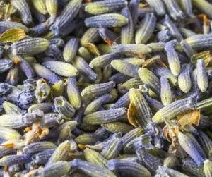 Lavender Flower Buds - 100% Pure Dried Fresh Grade A? Size 1 LB