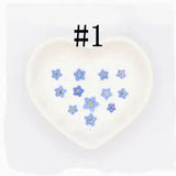 12PCS real Pressed forget me not flower, floral material for art craft FHT21