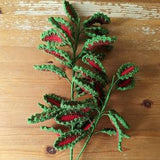Crochet Plant | Coleus