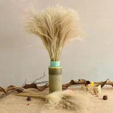 Natural Dried Pampas Grass Phragmites Communes Wedding Artificial Flower Bunch