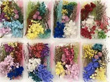 Box Of Dried Flowers For Crafts, Postcard, Wedding, Jewelry....