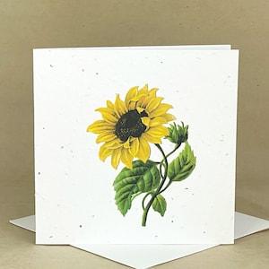 Plantable Eco-Friendly Seeded Card / Beautiful Sunflower #1