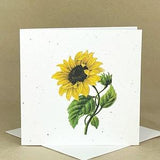 Plantable Eco-Friendly Seeded Card / Beautiful Sunflower #1