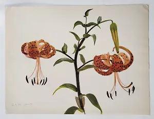Arlette Davids Lithograph Color Plate Lily Botanical Floral Vintage Art Print