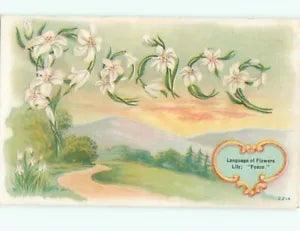 NEW LISTINGc1910 Language Of Flowers PEACE - SPELLED IN LILY FLOWER LETTERS AC5001