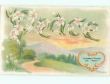 NEW LISTINGc1910 Language Of Flowers PEACE - SPELLED IN LILY FLOWER LETTERS AC5001