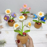 Handmade Crochet Lily of the Valley in a Pot, Convallaria majalis,Cute Desk Knitted Flower Plant,Happiness Gift for Friends,Birthday Present