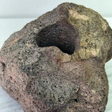 Volcanic carved rock planter. Orchid bonsai planter. Moss, succulents, exotic plants. Tropical, bohemian, trippy.