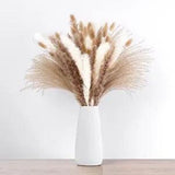 67PCS Pampas Grass Dried Flowers, Fall Decor Autumn Decorations for Boho 67pcs