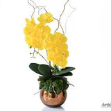 Luxury yellow orchids in a gold vase.Artificial lifelike orchid arrangement, Real touch yellow orchid display