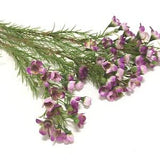 Artificial Orchid Purple WAX FLOWER Stems - 3 Pieces, Artificial Flowers, Silk Flowers, Flower Crown, Wedding, Hair Accessories, Millinery