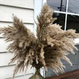 30pcs Dried Flower Fluffy Pampas Grass Party Decor Rabbit Tail Artificial Flower