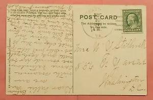 1909 DPO 1895-1935 BATNA VA VIRGINIA CANCEL RED CARNATION FLOWER POSTCARD