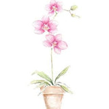 Pink Orchid Watercolor Painting Print from Original Watercolor Painting, Pink Orchid Art Print, Potted Pink Orchid Flower Print