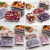 1 Box Real Dried Flower Dry Plants Filling Material Epoxy Resin Jewelry Making