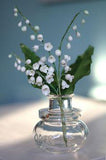 Lily of the valley (sugar) - happy 1st May! Flower Delivery