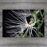 Habanaria Orchid, Giclee Print, Macro Photography, High Quality Print, Farmhouse Decor, Cottagecore