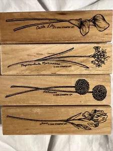 Floral Stamp Set Of 4 Flowers Narcissus Allium Iris Calla Lily Stampin Up RARE