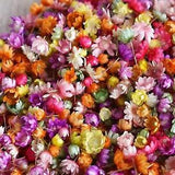 Real Dried Flowers Set Art Craft Epoxy Resin Candle Making Jewelry Glas INV