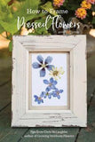 These Blooms Never Fade: How to Frame Pressed Flowers - Garden Therapy Flower Delivery