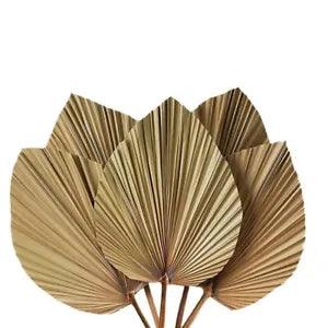 5pcs Dried Palm Leaves 18inch Party Room Decor Natural Palms Leaf Decorations
