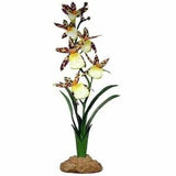 Spider Orchid - Natural Terrarium, Aquarium and Vivarium Decor - Artificial Rainforest Ground Plant for Reptile Habitat