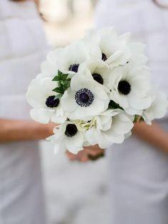 The Ultimate Guide to In-Season Winter Wedding Flowers Flower Delivery