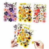 103 Pcs Real Dried Pressed Flowers Small Dried Flowers Leaves Set Mixed A
