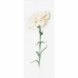 Cross-stitch kit  Carnation white 466  Thea Gouverneur  Linen