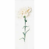 Cross-stitch kit  Carnation white 466  Thea Gouverneur  Linen