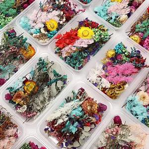 6 Boxes Dried Flowers for Resin Mixed Pressed Dry Flower Leaves Multiple Natural