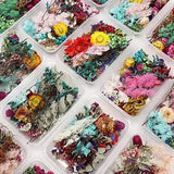 Dried Flowers for Resin Mixed Pressed Dry Flower Leaves Multiple Natural Pressed