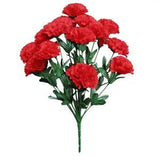 Red 14-Carnation 20