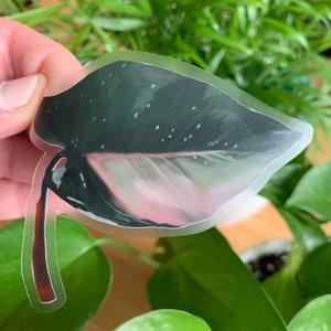 Plant Leaf Clear Sticker| Die Cut, Leaves Stickers, Plant Stickers, Vinyl, Laptop Sticker, Water Bottle Sticker, Waterproof Sticker Planner