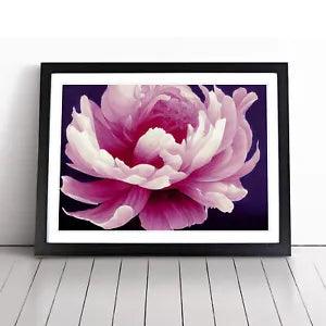 Framed peony flower wall art print with purple and pink petals