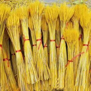 100pcs Fake Flowers Natural Dried Wheat Grass Artificial Plants Wedding...