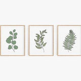 Fern leaves print set - Set of 3, Minimalist botanical poster set, Green leaf art, Greenery, Scandinavian art decor, Wall art, MAILED PRINT