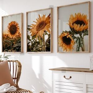 Sunflower Print Set of 3, Floral Botanical Print Set, Fall Sunflowers Printable Wall Decor, Gallery Wall Art, Vintage Yellow Wall Art Poster