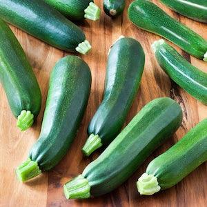 Black Beauty Zucchini 10 Seeds Heirloom Non-GMO Vegetable