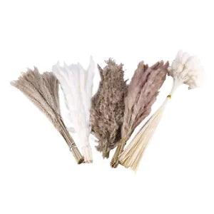 120PCS Dried Pampas Grass Decor ,Pompas Floral,Natural Dried Pampas Grass DecoK