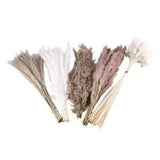 120PCS Dried Pampas Grass Decor ,Pompas Floral,Natural Dried Pampas Grass DecoK