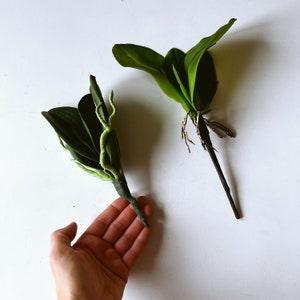 Real Touch Feel artificial Phalaenopsis, Faux orchid with roots, orchid plant, phalaenopsis, orchid leaves, orchid roots, terrarium plant