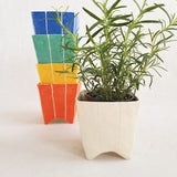 Indoor ceramic plant pot for succulent or cactus. Herb planter