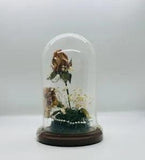 Vintage Dried Flower with  Glass Dome on Wooden Base