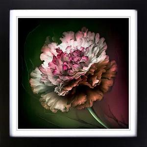 Carnation Flower Abstract Expressionism No.2 Framed Wall Art Print Picture Large